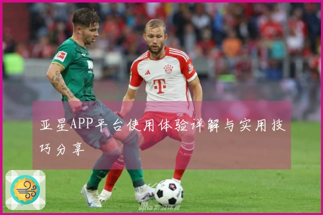 亚星APP平台使用体验详解与实用技巧分享