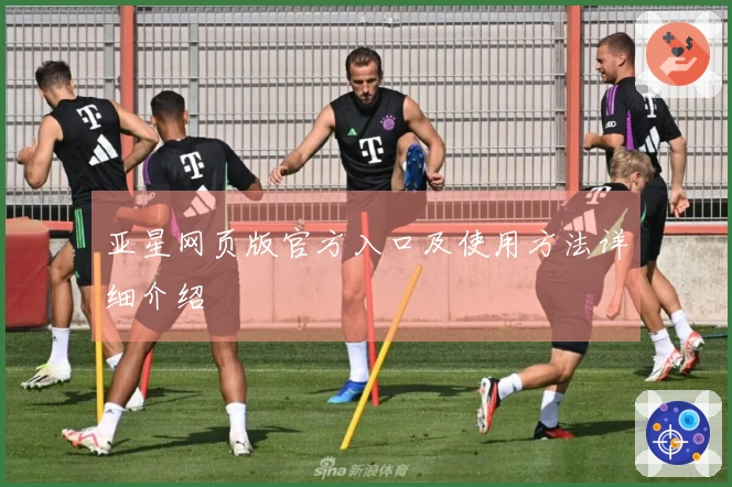 亚星网页版官方入口及使用方法详细介绍