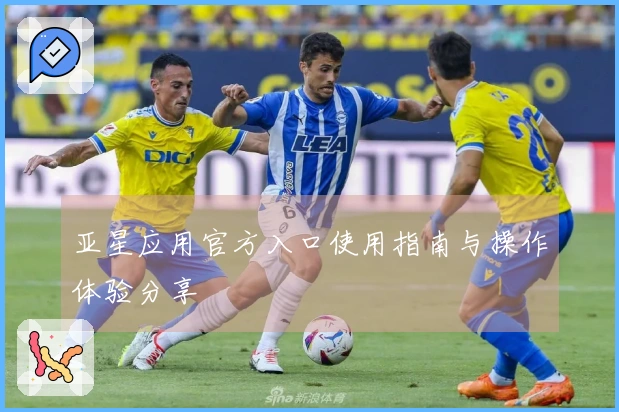 亚星应用官方入口使用指南与操作体验分享