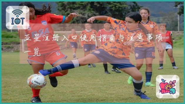 亚星注册入口使用指南与注意事项一览