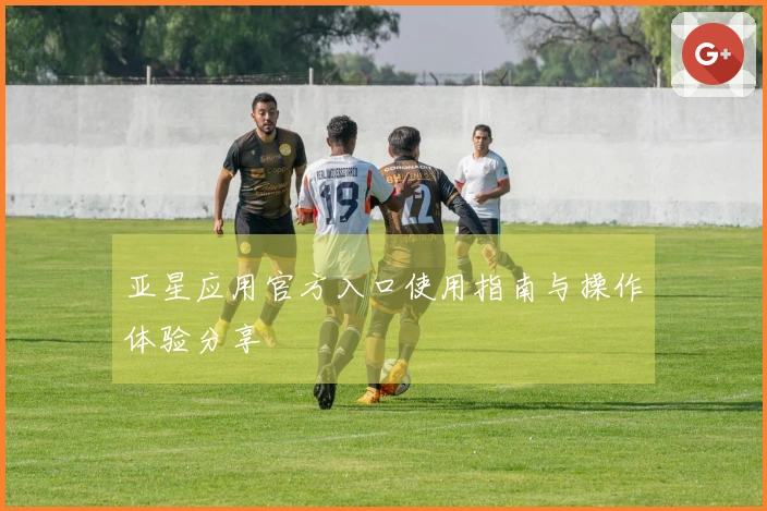 亚星应用官方入口使用指南与操作体验分享