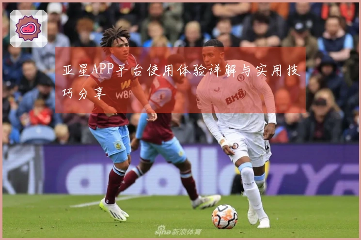 亚星APP平台使用体验详解与实用技巧分享