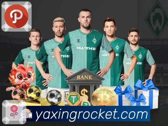 亚星官网平台背景与发展历程